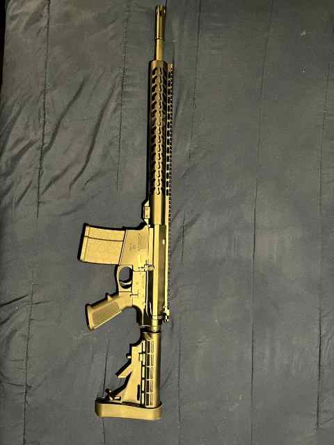 .308 AR10 