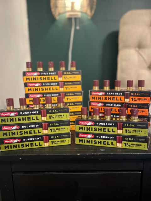 SHOTGUN MINISHELLS - 320 shells (variety)