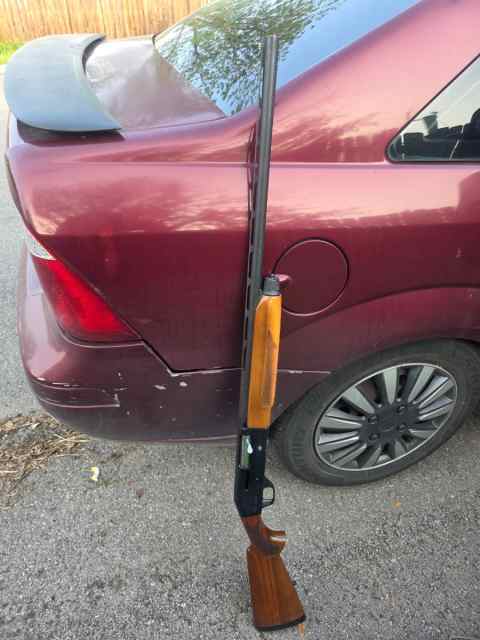 Stoeger 2000 semi-auto 12ga
