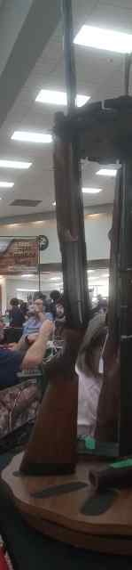 IMG_7961.jpeg