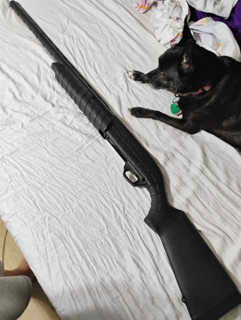 WTS: Remington M887 Nitro-Mag 12GA Pump Shotgun