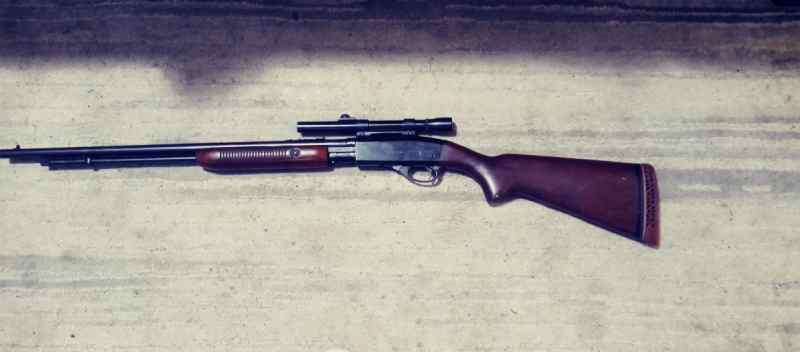 Remington fieldmaster 572