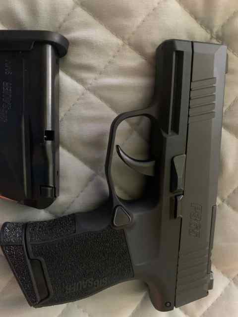 sig-sauer-p365-pic.jpg