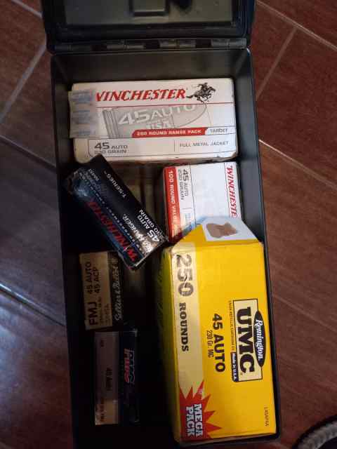 45 acp ammo fs
