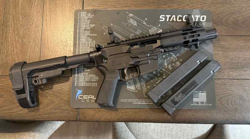 NEW PSA PX9 9mm Carbine AR-9 w 2 30 rd mags 