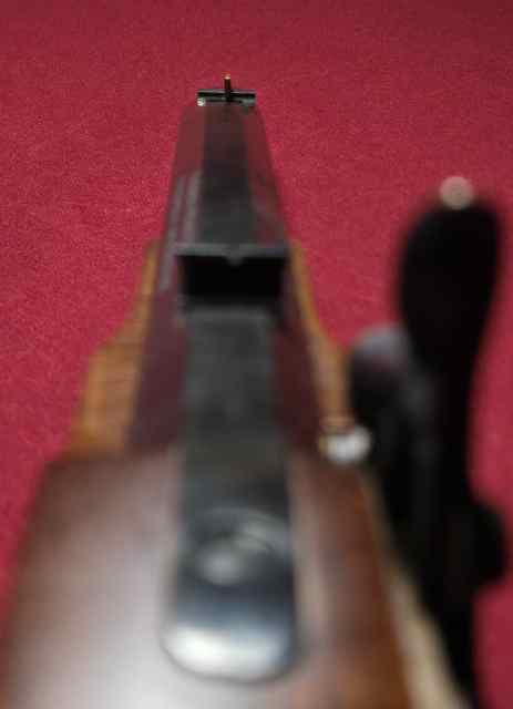 20250508_134547.jpg