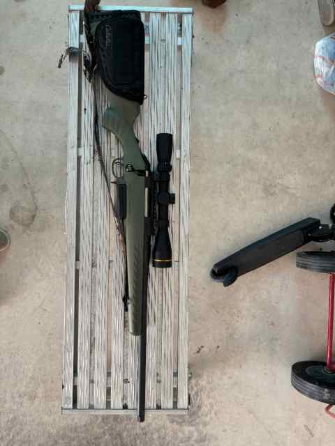 Ruger American Predator .308 Win