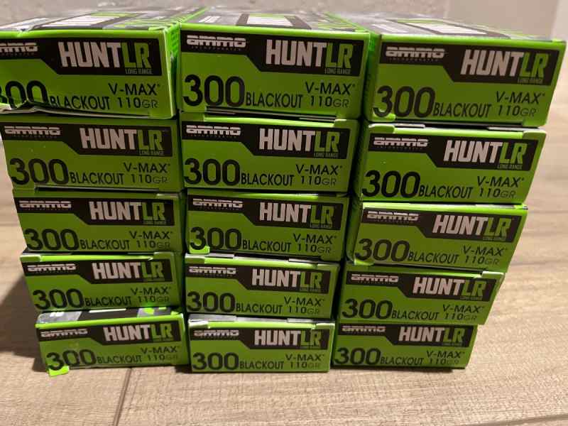 110 grain v-max 300 blackout ammo 