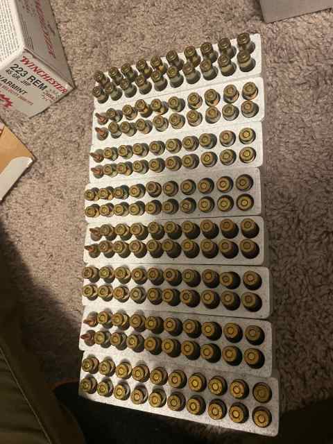 223 varmint ammo 