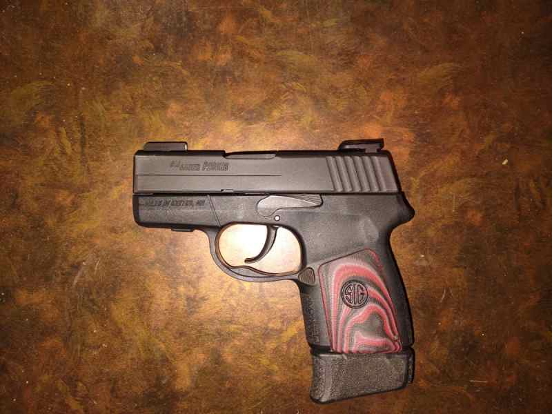 Sig p290 rs