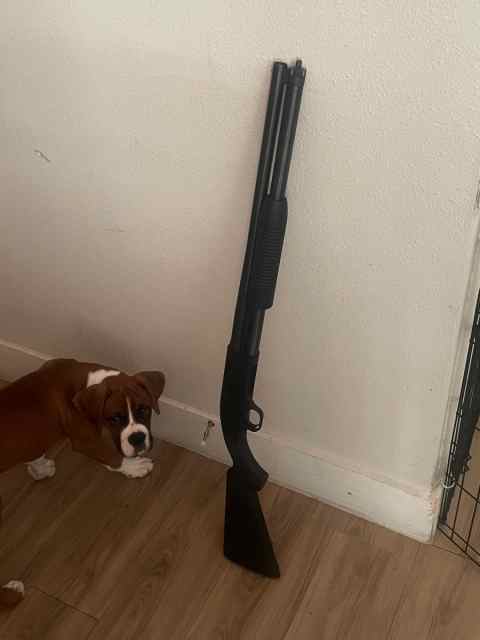 Mossberg 88 security model