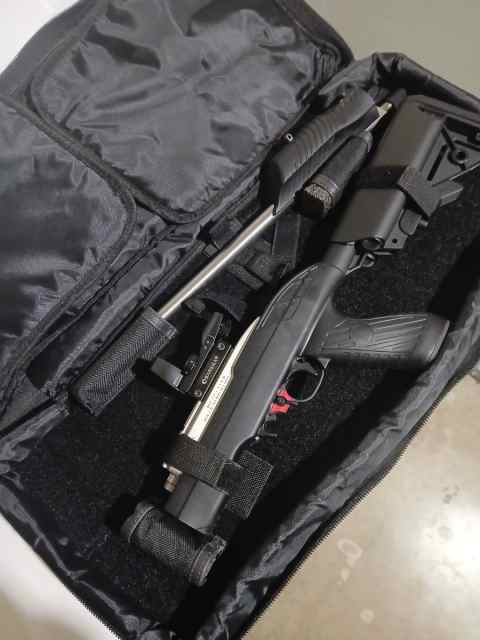Ruger 10/22 stainless takedown with binary trigger