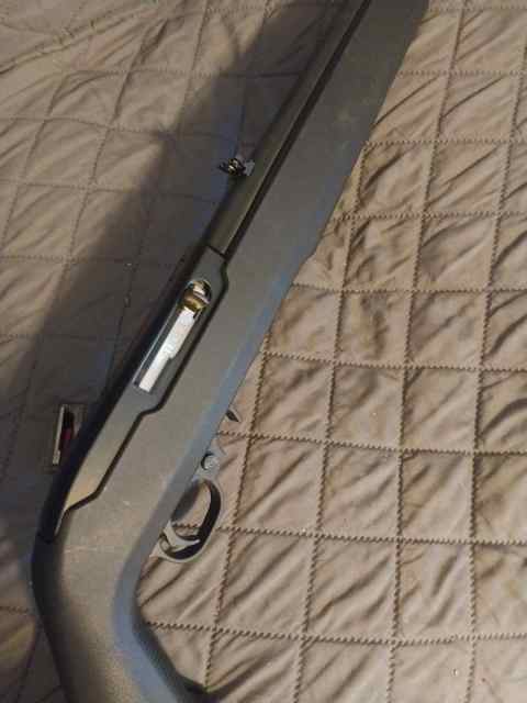 Ruger 10/22 magpul stock
