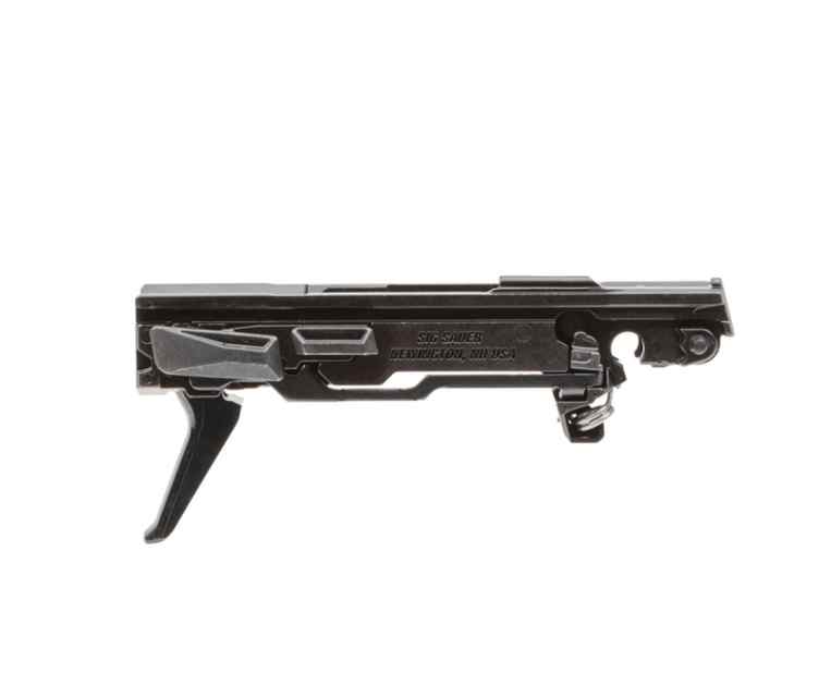 P365 FCU FOR SALE 