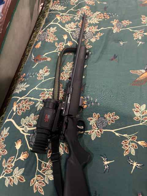Savage .22mag with TS19 thermal  