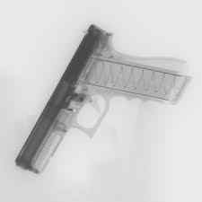 ISO SIG FLUX RAIDER 