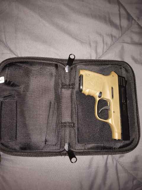 Smith and Wesson Bodyguard 380