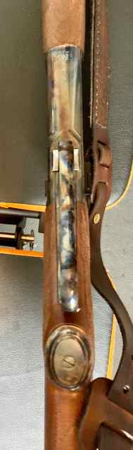IMG_7803.jpeg