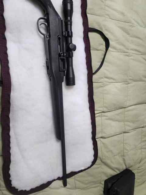 Remington model 522 Viper