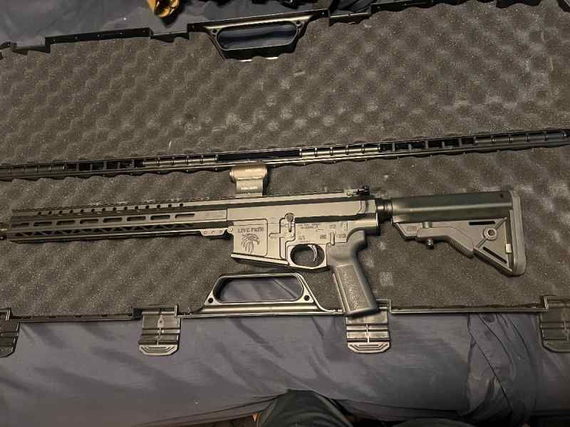 Live Free Armory ar10