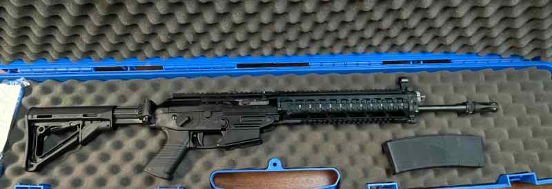 Sig 556 swat 