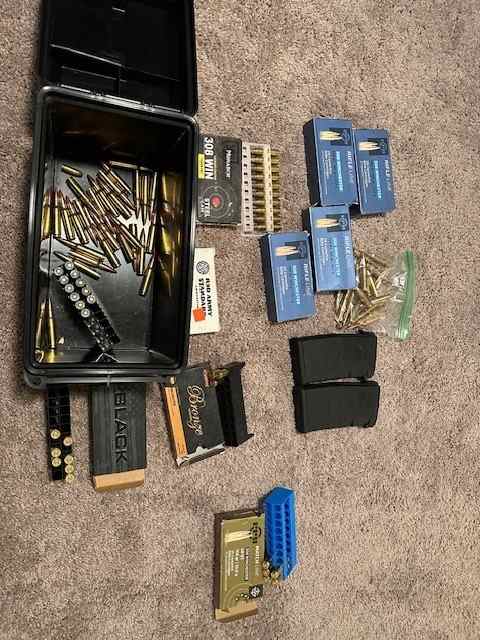 Various 308 Ammo