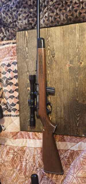 Bingham 22lr rifle with scope