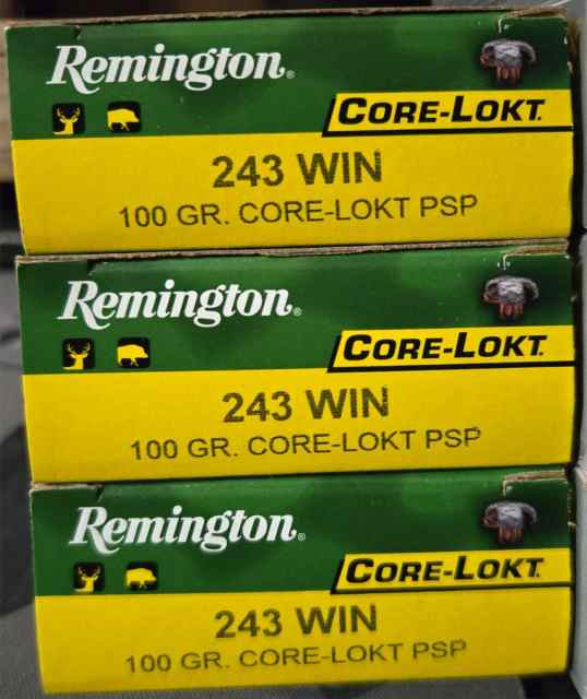 Remington core lokt 243 win 100 grain