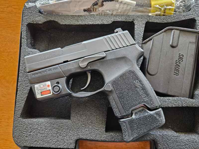 Sig P290RS