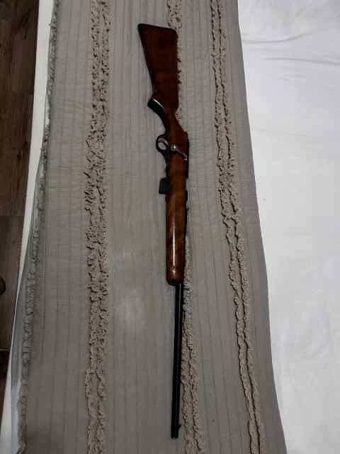 Glenfield model 20 .22